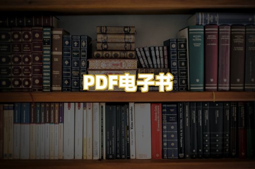 PDF电子书